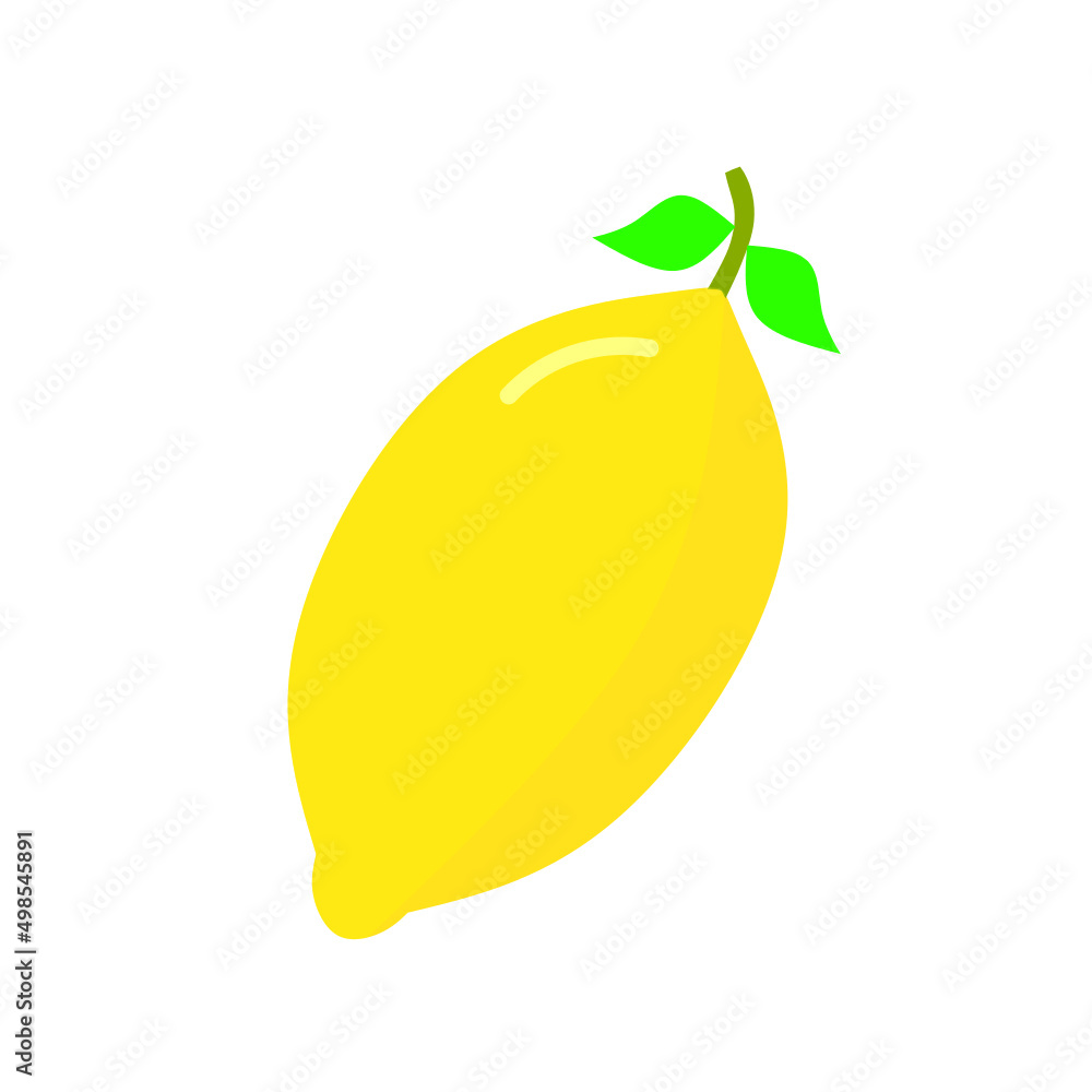 lemon fruit vector on white background lemon fruit vector on white background