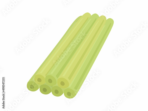 フキのイラスト