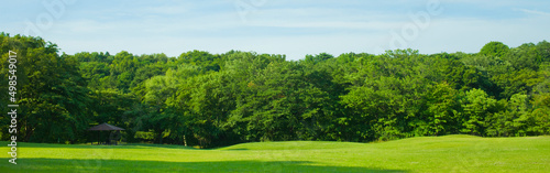 banner image of green park