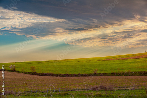 ultimi raggi sulla collina
