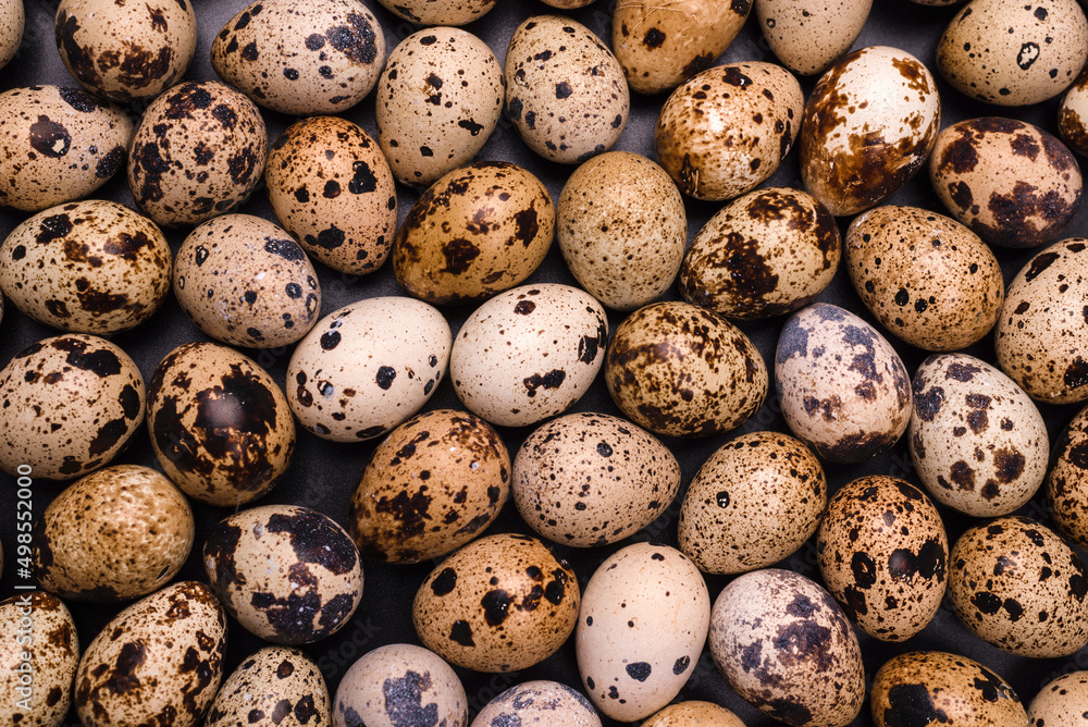 Group of quail eggs as a background. Raw eggs.