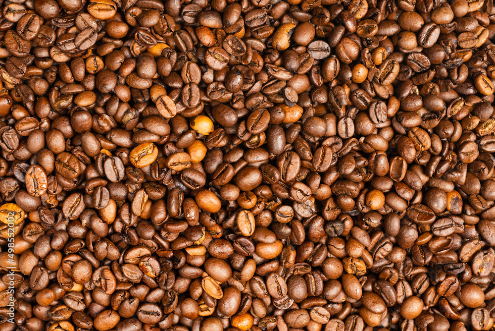 Coffee beans on a white background. Top view. Coffee beans on a white background. Top view.