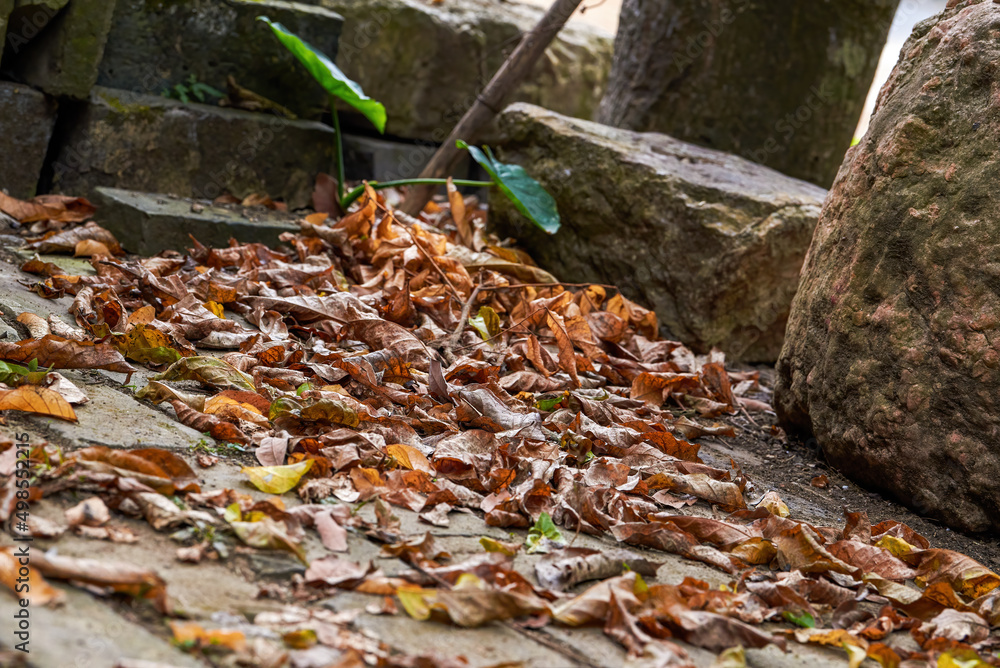 Stone buildings and fallen leaves in the ancient village Stone buildings and fallen leaves in the ancient village