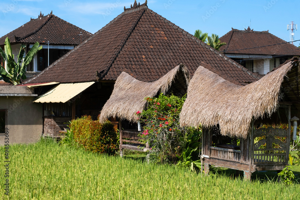 Thatched roof huts in field