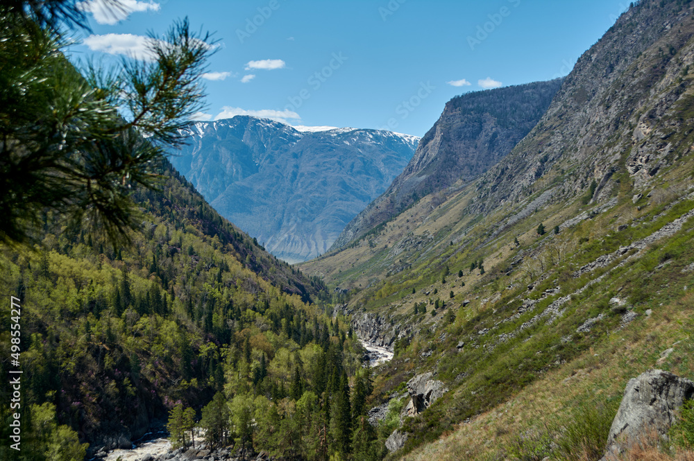 View on valley of Chulcha river. Altai Republic, Siberia. Russia
