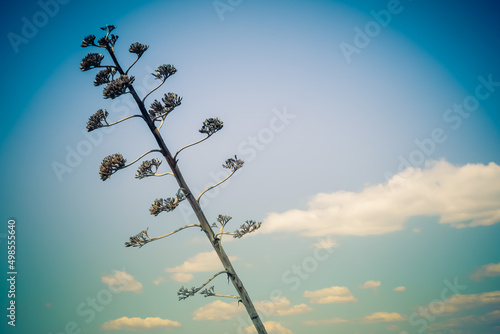 Fototapeta Naklejka Na Ścianę i Meble -  Lighthouse Kogxi in Salamina Island, Attica, Greece