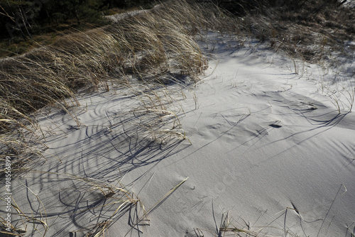 Billede på lærred Sandy beach on the Curonian Spit