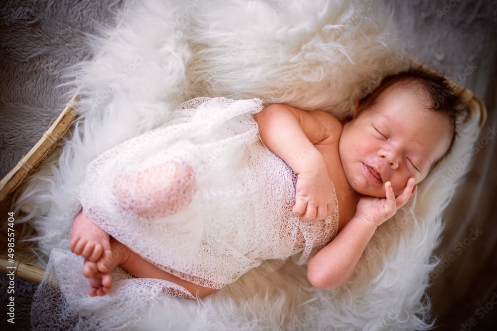 Cute sleeping in the basket newborn baby boy Cute sleeping in the basket newborn baby boy