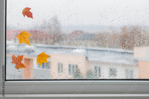 autumn leaves on rainy window pane