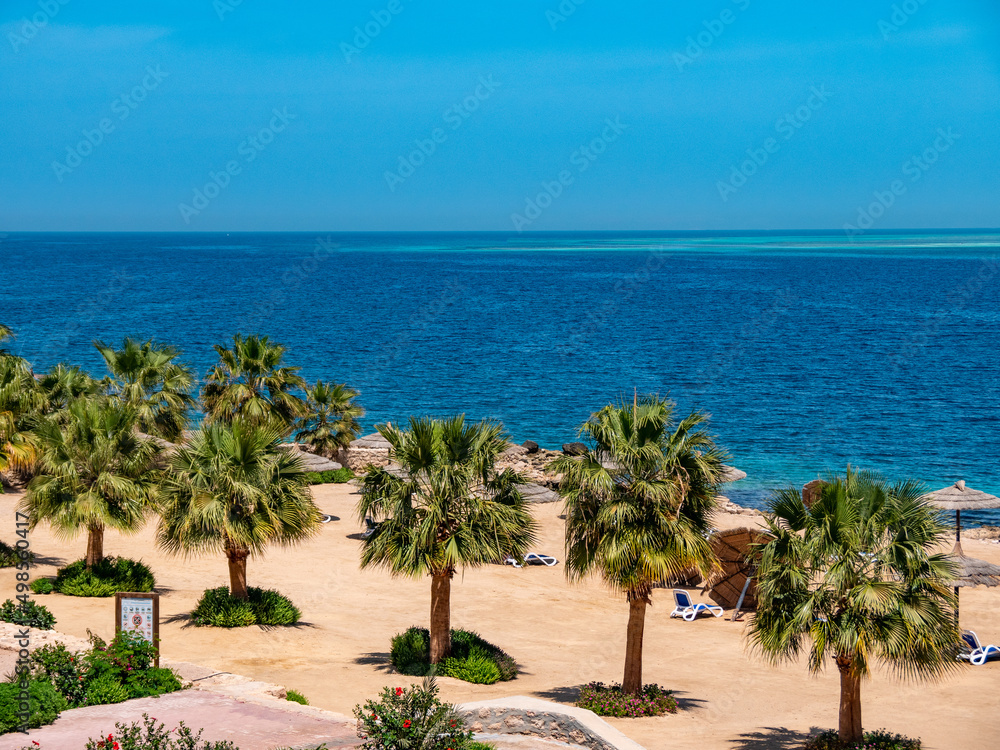 Beautiful palm trees on the beach near the blue sea.