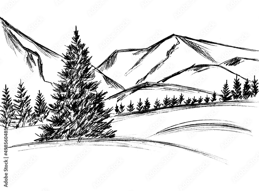 Landscape with mountains and Christmas trees in black on a white background