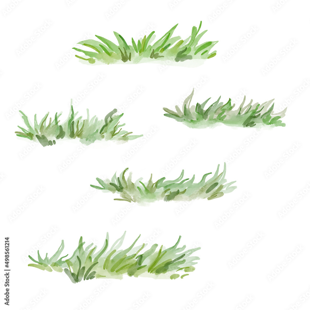 Watercolor set of grass icon. Hand-drawn grassland isolated on the white background.