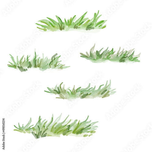 Watercolor set of grass icon. Hand-drawn grassland isolated on the white background.