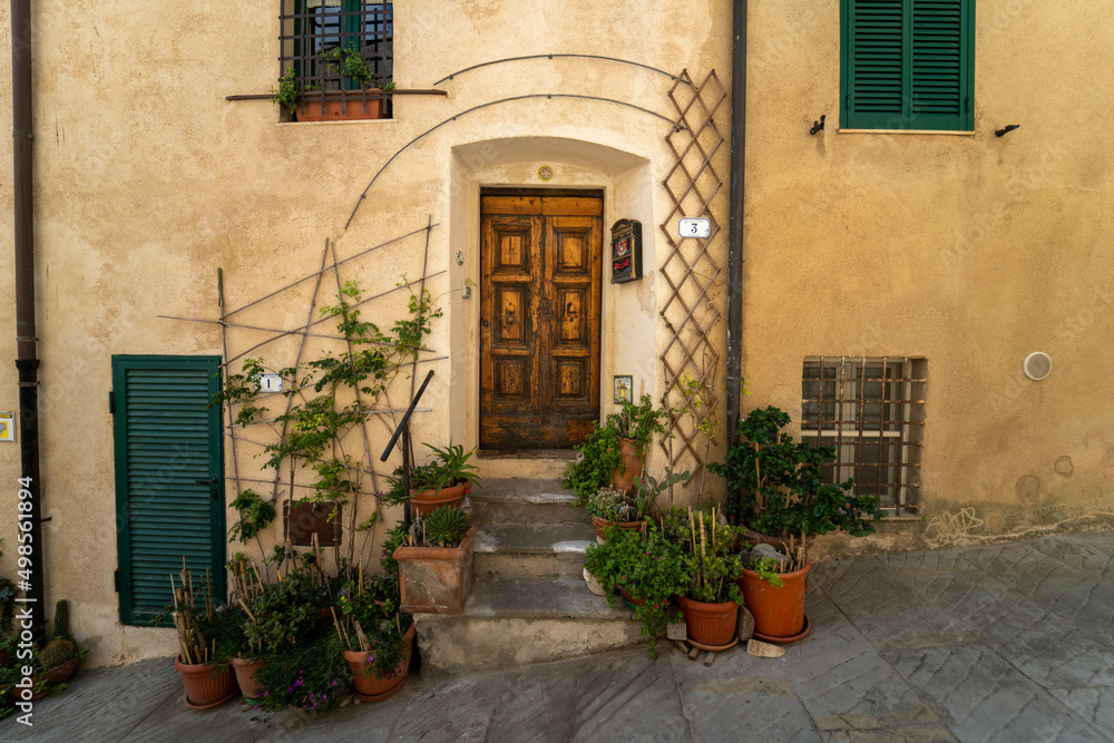 Porte en bois dans rue en pente avec fenêtres aux volets verts pots de fleurs et plantes.
