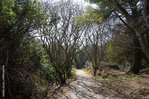 View on the country park trail at the Wheal Martyn Clay Works Museum
