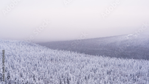 Carpet of snowy coniferous forest under frosty fog. Tops of hills are covered with frost. White first froze on winter morning. Haze to horizon hidden spruces