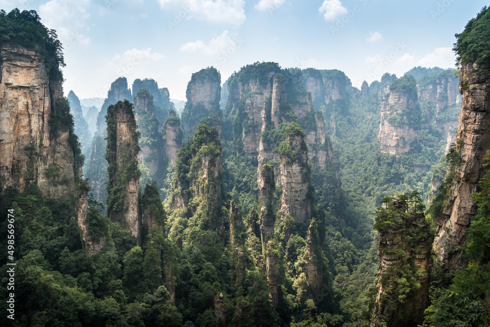 Natural scenery of Zhangjiajie national forest park, a world natural heritage site - obrazy, fototapety, plakaty 