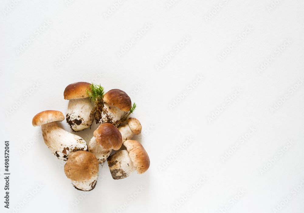 Bunch of fresh forest porcini mushrooms on a white surface close up, soft focus, top view, copy space Bunch of fresh forest porcini mushrooms on a white surface close up, soft focus, top view, copy space