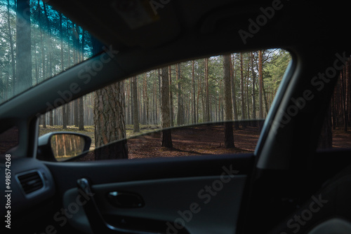 view from the open side window of the car to the forest