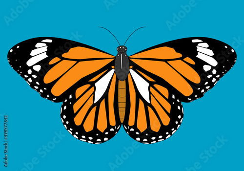 Mariposa  monarca naranja, negra y blanca sobre cielo azul