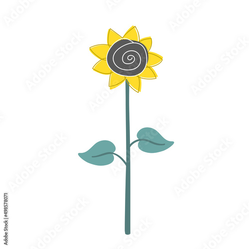 Doodle hand drawn sunflower isolated on white. Vector illustration