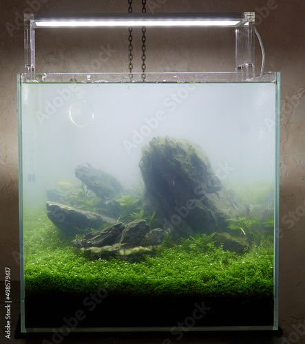Obraz na plátně Cloudy water, bacterial bloom