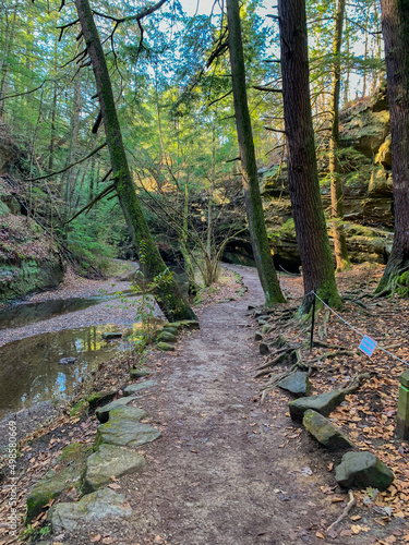 Vertical shot of an unpaved narrow road in the green forest photo