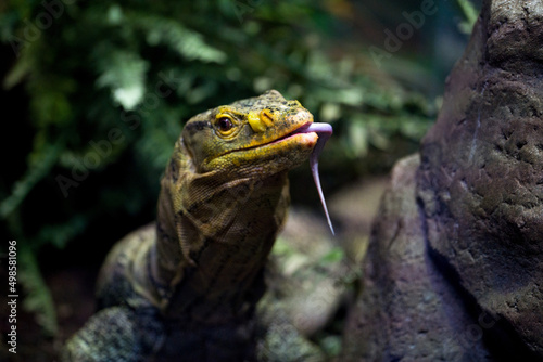 Closeup shot of Gray's monitor photo