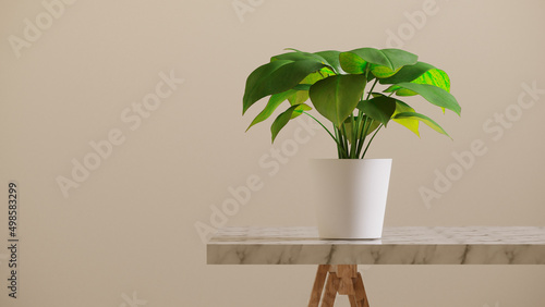 Fotografie, Obraz White plants pot on granite table with wood stand against beige wall