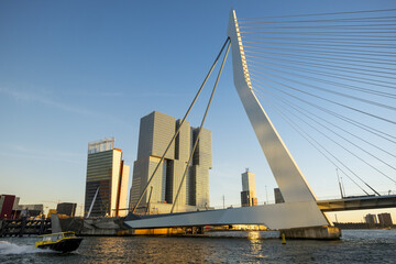 Fototapete Erasmusbrücke Erasmusbrücke Rotterdam vor blauem Himmel  © 615/Wirestock Creators
