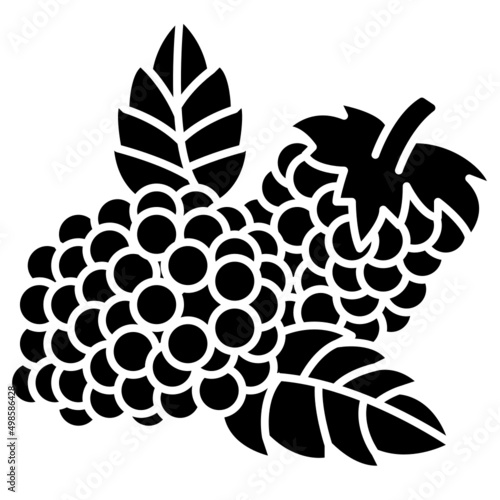 raspberry solid icon