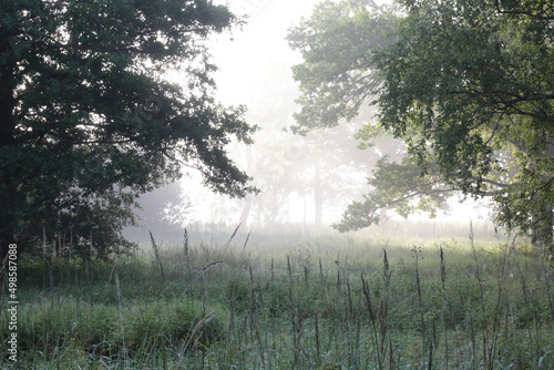 Misty morning in Vaxjo, Sweden photo