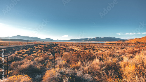 Beautiful view of autumn plants in the background of mountains in the daytime. photo