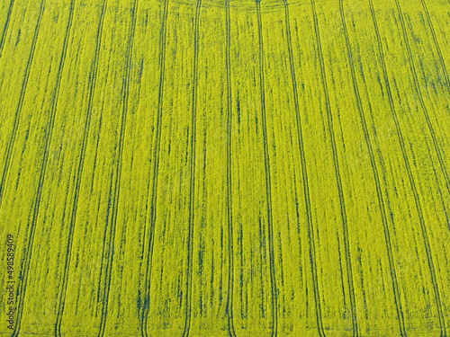 Beautiful shot of a greenfield in Cornwall, England