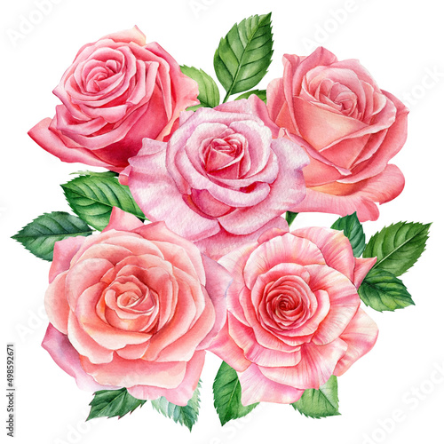 flowers of vintage roses. Hand painted, isolated objects on white background