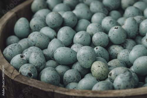 Closeup of turquoise spotted Easter eggs in a wooden bowl photo