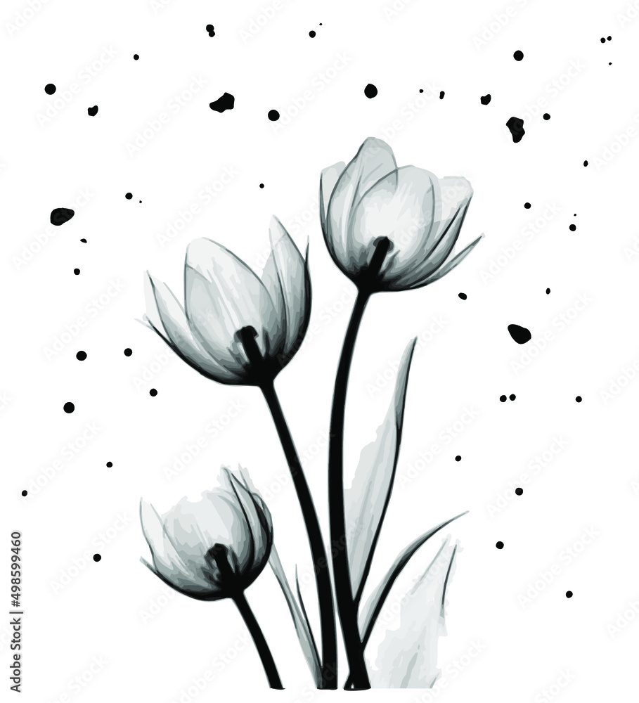 Black flower. Original black watercolor flower. Minimal design for text,  packaging, prints, wall decoration, tattoo Stock Vector | Adobe Stock