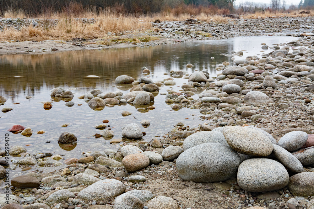 Mountain stream with many round stones and yellowish grasses Mountain stream with many round stones and yellowish grasses