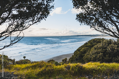 Scenic view of the plants and trees on cliffs against blue sky, Ngarunui Beach, Raglan, New Zealand photo