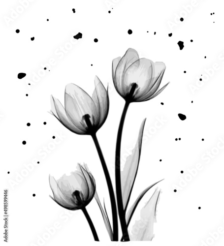 Black flower. Original black watercolor flower.
Minimal design for text, packaging, prints, wall decoration, tattoo