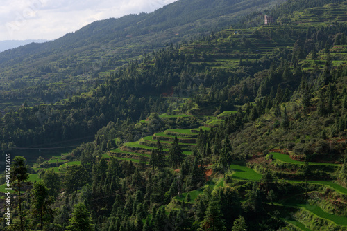 Beautiful shot of green landscape with trees and grass in Shuanghe Caves, Qingyan Town, China photo