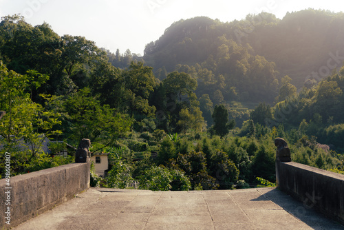 The mountain dense forest in bright sunlight from the old bridge in Langde Miao, Guizhou, China photo