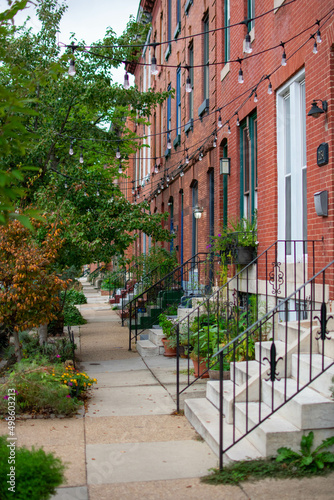 Brick Rowhouses and Leafy Trees in Baltimore  Maryland