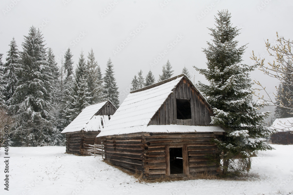 Group of old wooden huts in a clearing of spruce forest in winter