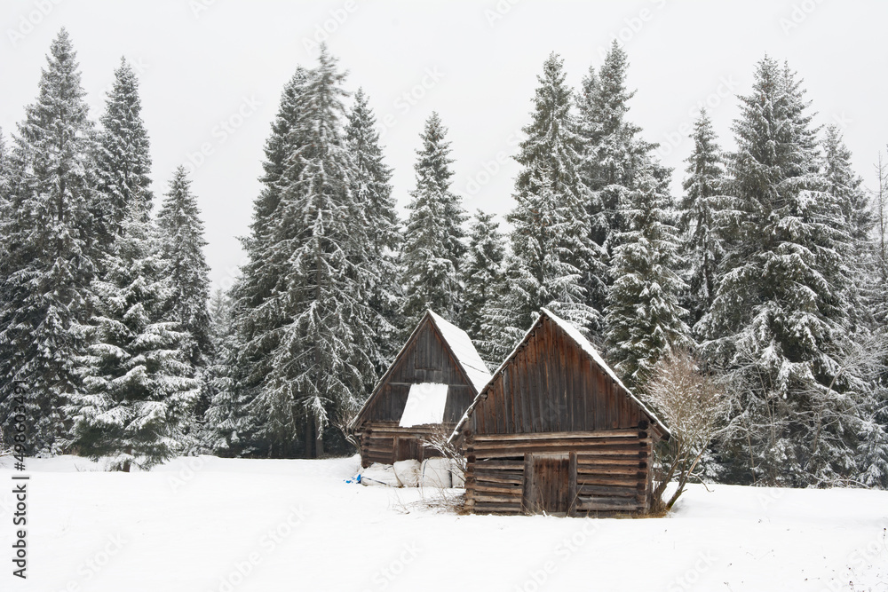 Two old wooden huts in a clearing of spruce forest in winter Two old wooden huts in a clearing of spruce forest in winter