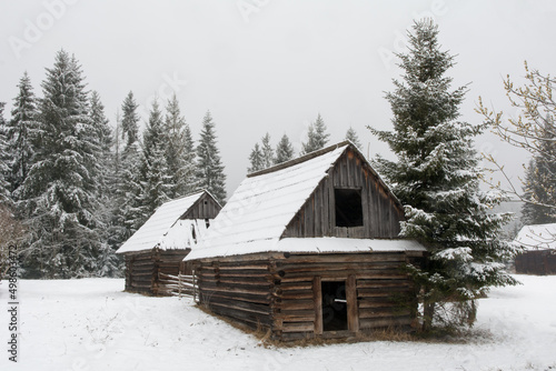 Group of old wooden huts in a clearing of spruce forest in winter © dorotaemiliac