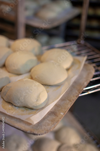 Baking sheet with raw dough buns ready for baking photo