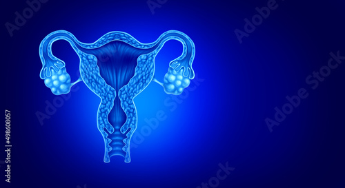 Fényképezés Uterus And ovaries anatomy concept of female fertility or infertility condition