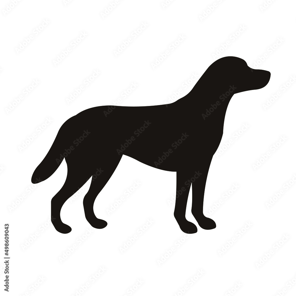 Vector flat labrador dog silhouette isolated on white background