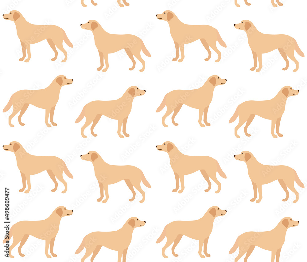 Vector seamless pattern of flat labrador dog isolated on white background